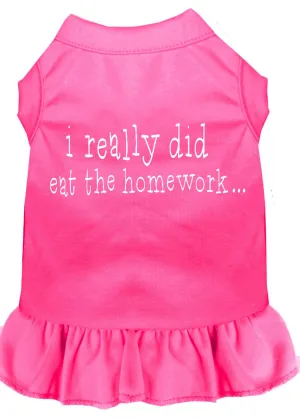 I Really Did Eat The Homework Screen Print Dress Bright Pink 4x (22)