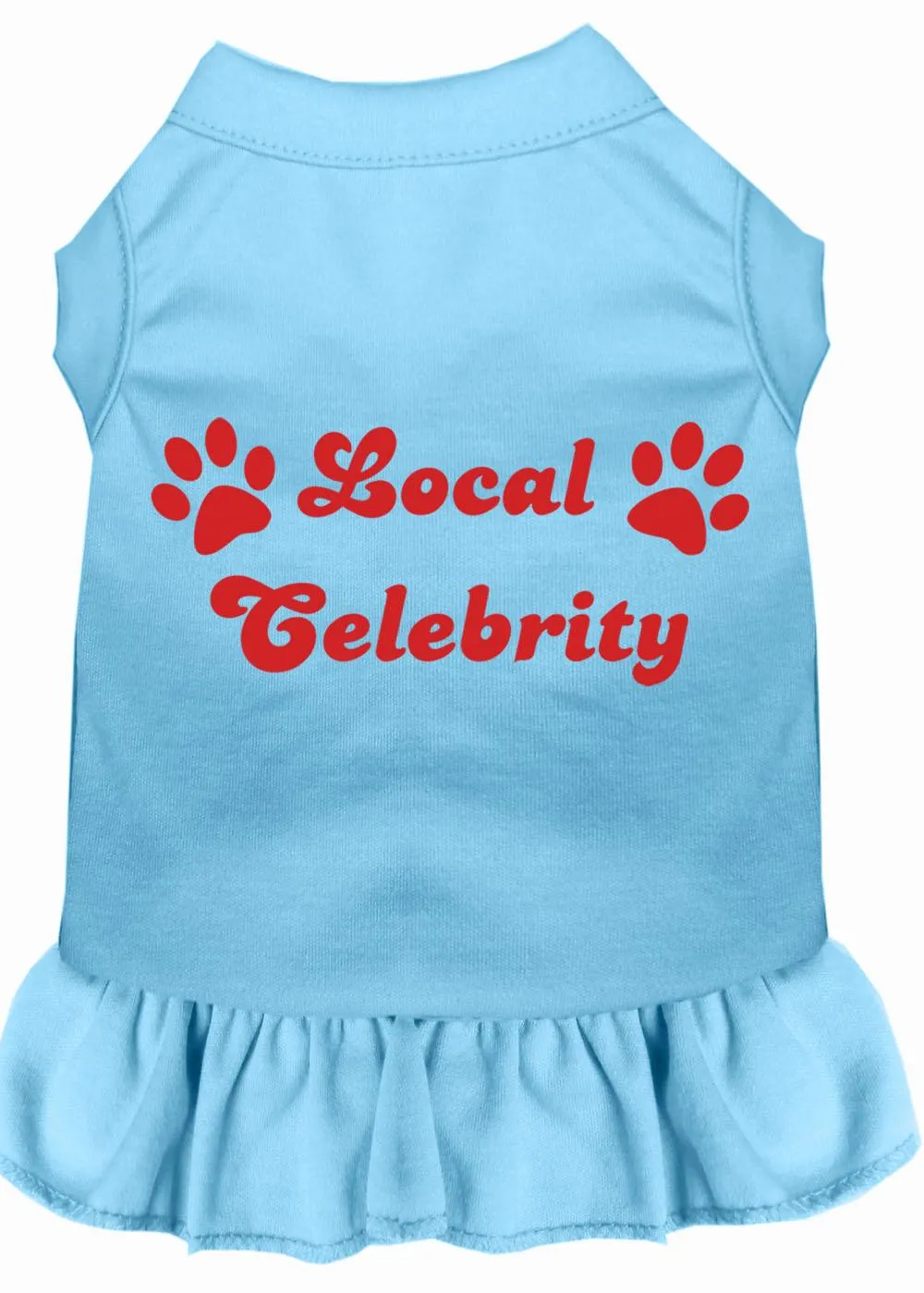 Local Celebrity Screen Print Dress Baby Blue Med (12)